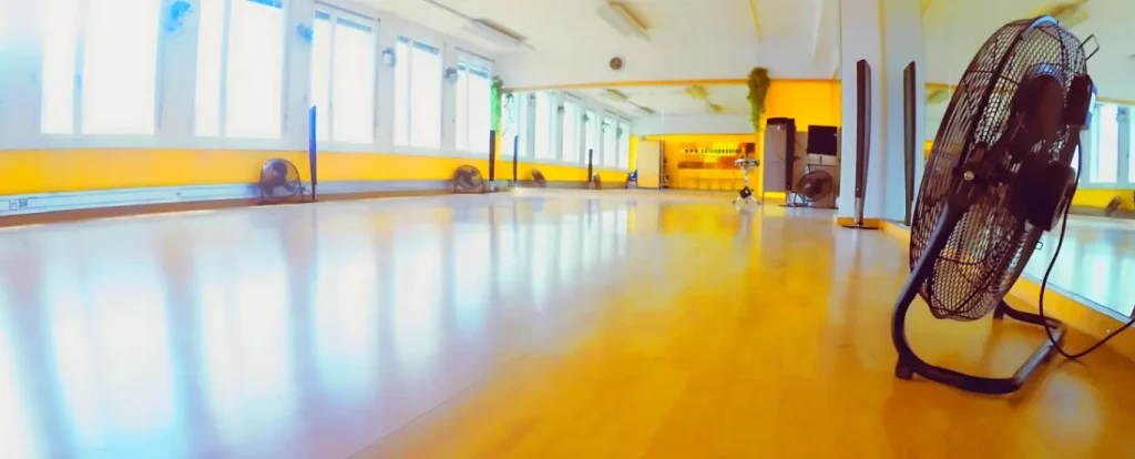 Tanzstudio Salsa, Bachata, Tango, Merengue Studiofoto